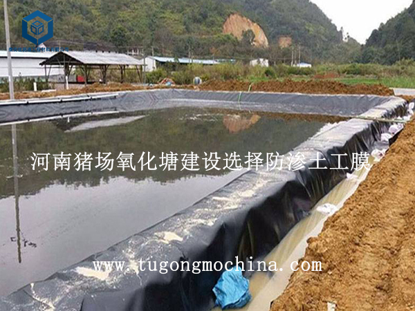 河南猪场氧化塘建设选择土工膜